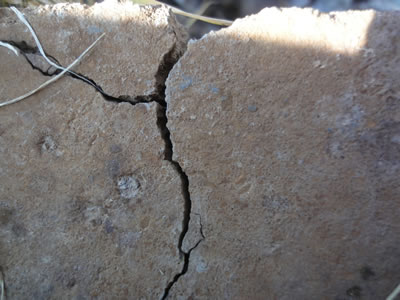 cracked sidewalk