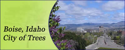 Boise Idaho - City of Trees