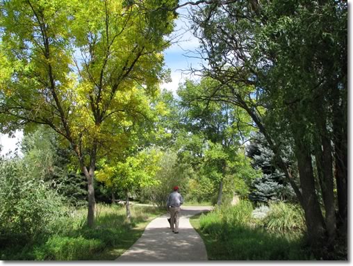 A walk in the park