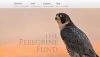 The Peregrine Fund